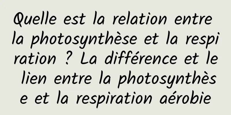 Quelle est la relation entre la photosynthèse et la respiration ? La différence et le lien entre la photosynthèse et la respiration aérobie
