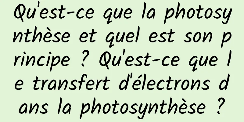 Qu'est-ce que la photosynthèse et quel est son principe ? Qu'est-ce que le transfert d'électrons dans la photosynthèse ?