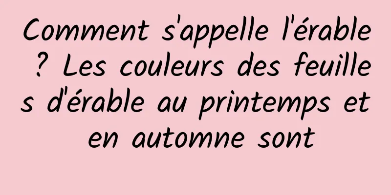 Comment s'appelle l'érable ? Les couleurs des feuilles d'érable au printemps et en automne sont