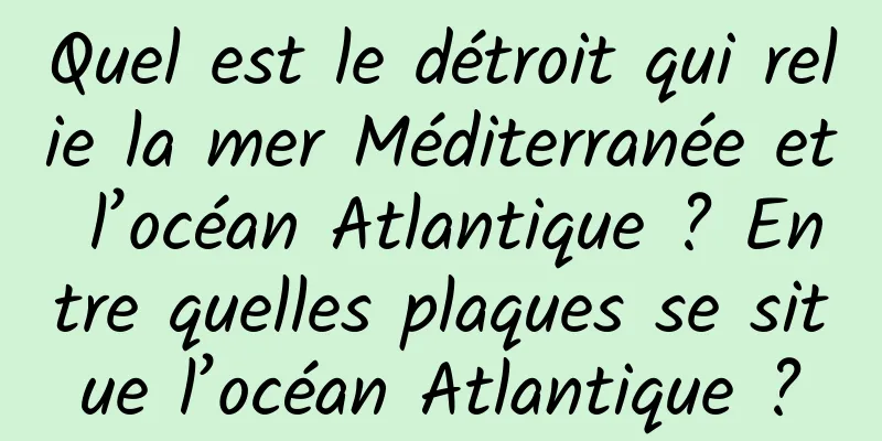 Quel est le détroit qui relie la mer Méditerranée et l’océan Atlantique ? Entre quelles plaques se situe l’océan Atlantique ?