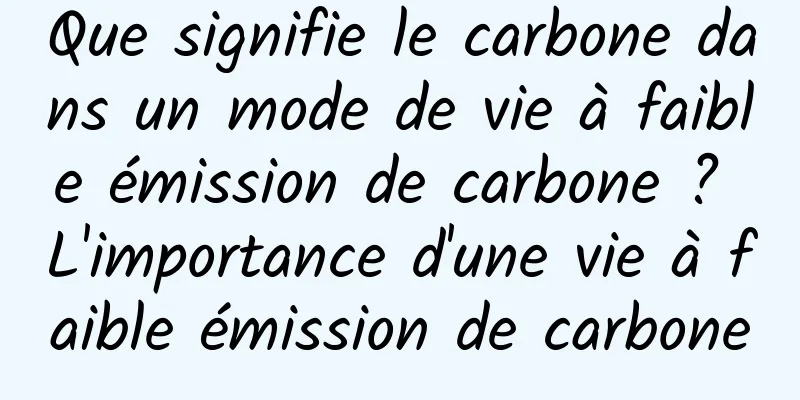 Que signifie le carbone dans un mode de vie à faible émission de carbone ? L'importance d'une vie à faible émission de carbone