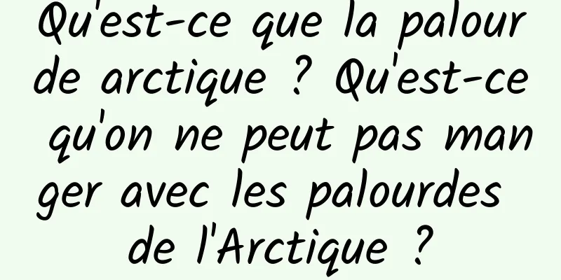Qu'est-ce que la palourde arctique ? Qu'est-ce qu'on ne peut pas manger avec les palourdes de l'Arctique ?