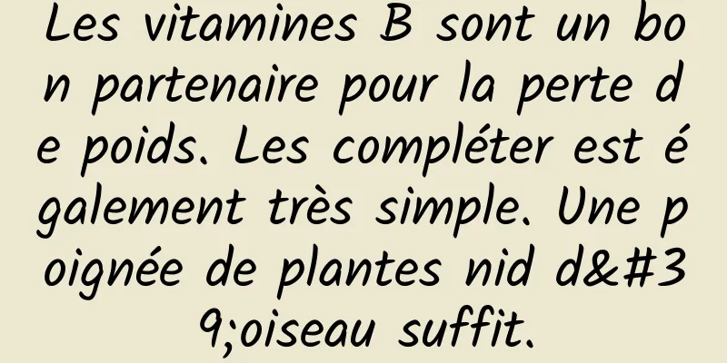 Les vitamines B sont un bon partenaire pour la perte de poids. Les compléter est également très simple. Une poignée de plantes nid d'oiseau suffit.