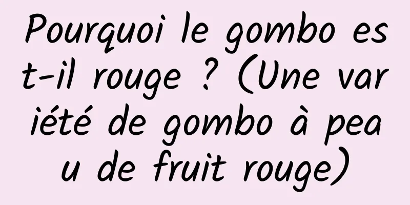 Pourquoi le gombo est-il rouge ? (Une variété de gombo à peau de fruit rouge)