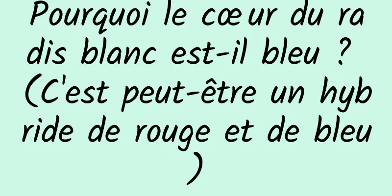 Pourquoi le cœur du radis blanc est-il bleu ? (C'est peut-être un hybride de rouge et de bleu)