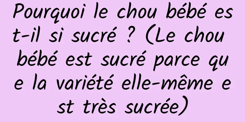 Pourquoi le chou bébé est-il si sucré ? (Le chou bébé est sucré parce que la variété elle-même est très sucrée)