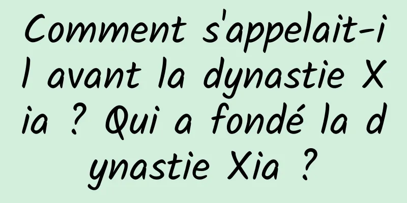 Comment s'appelait-il avant la dynastie Xia ? Qui a fondé la dynastie Xia ?