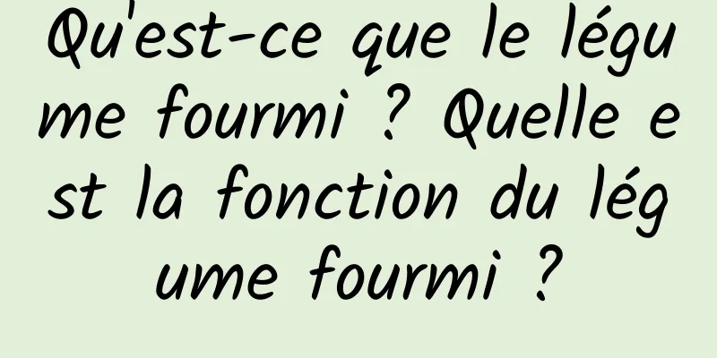Qu'est-ce que le légume fourmi ? Quelle est la fonction du légume fourmi ?