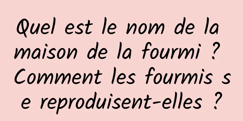 Quel est le nom de la maison de la fourmi ? Comment les fourmis se reproduisent-elles ?
