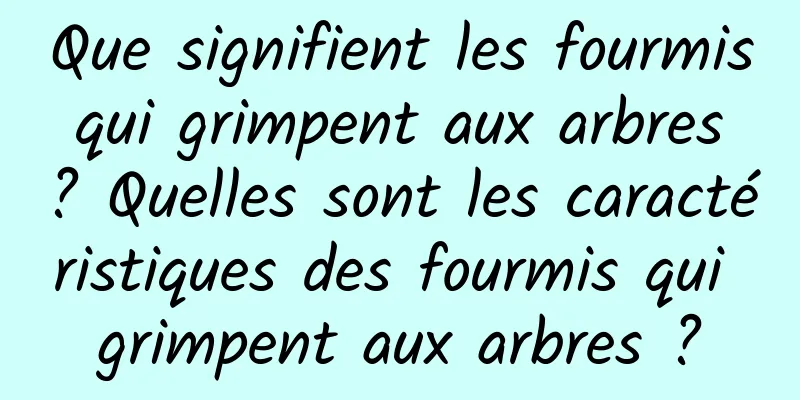 Que signifient les fourmis qui grimpent aux arbres ? Quelles sont les caractéristiques des fourmis qui grimpent aux arbres ?