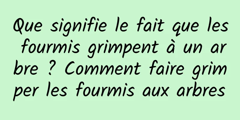 Que signifie le fait que les fourmis grimpent à un arbre ? Comment faire grimper les fourmis aux arbres