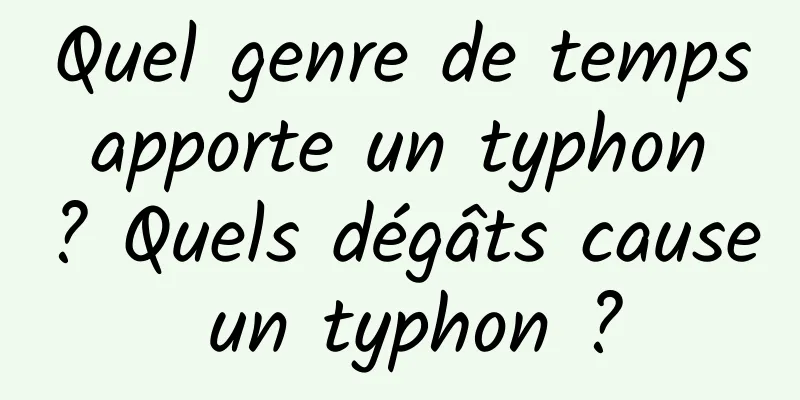 Quel genre de temps apporte un typhon ? Quels dégâts cause un typhon ?