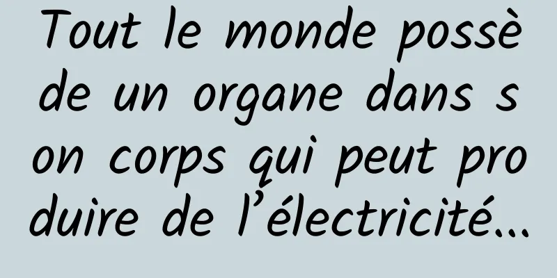 Tout le monde possède un organe dans son corps qui peut produire de l’électricité...