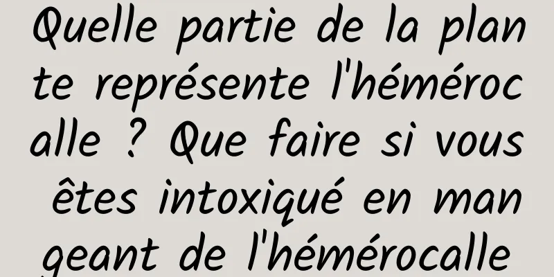 Quelle partie de la plante représente l'hémérocalle ? Que faire si vous êtes intoxiqué en mangeant de l'hémérocalle