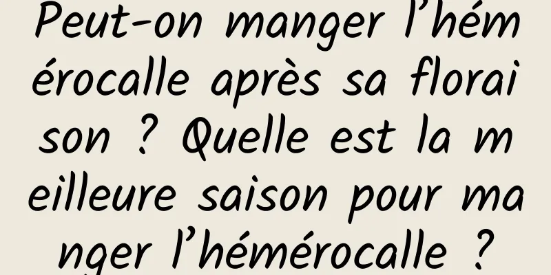 Peut-on manger l’hémérocalle après sa floraison ? Quelle est la meilleure saison pour manger l’hémérocalle ?