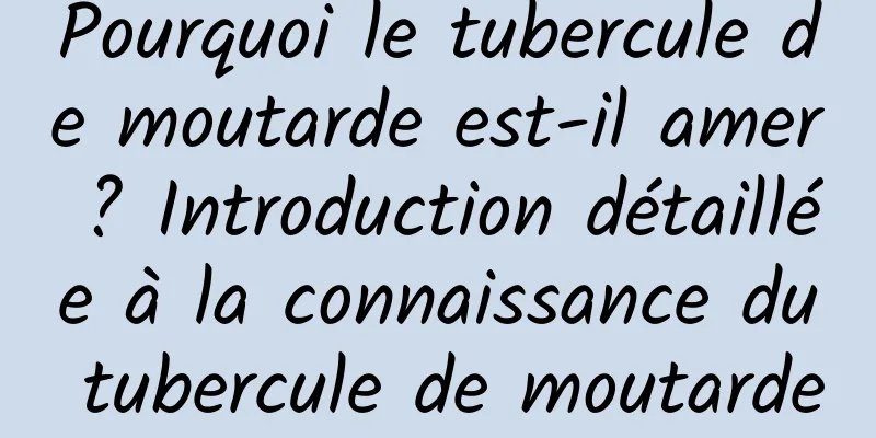 Pourquoi le tubercule de moutarde est-il amer ? Introduction détaillée à la connaissance du tubercule de moutarde