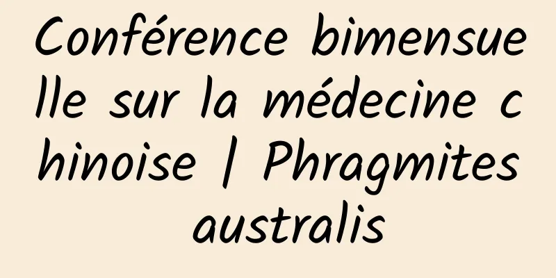 Conférence bimensuelle sur la médecine chinoise | Phragmites australis