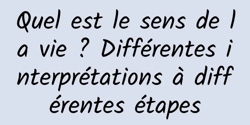 Quel est le sens de la vie ? Différentes interprétations à différentes étapes