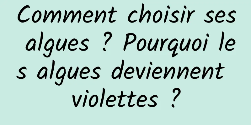 Comment choisir ses algues ? Pourquoi les algues deviennent violettes ?