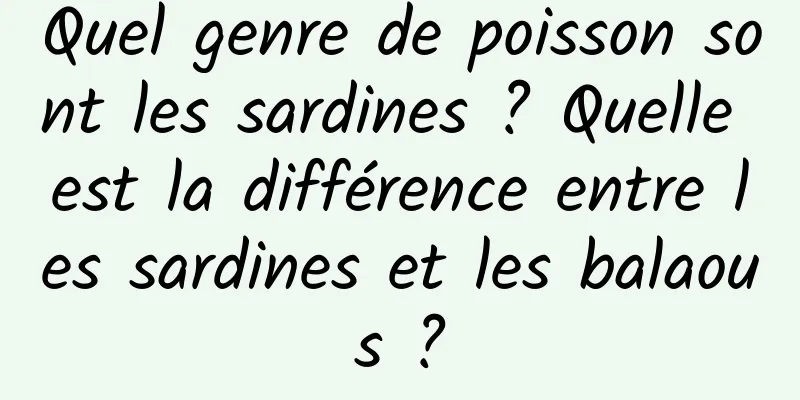 Quel genre de poisson sont les sardines ? Quelle est la différence entre les sardines et les balaous ?