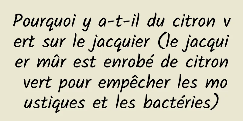 Pourquoi y a-t-il du citron vert sur le jacquier (le jacquier mûr est enrobé de citron vert pour empêcher les moustiques et les bactéries)