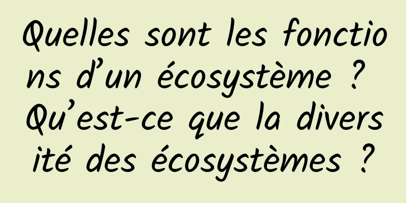Quelles sont les fonctions d’un écosystème ? Qu’est-ce que la diversité des écosystèmes ?