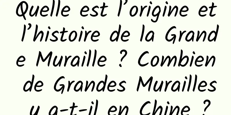 Quelle est l’origine et l’histoire de la Grande Muraille ? Combien de Grandes Murailles y a-t-il en Chine ?