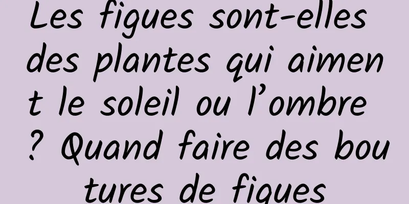 Les figues sont-elles des plantes qui aiment le soleil ou l’ombre ? Quand faire des boutures de figues