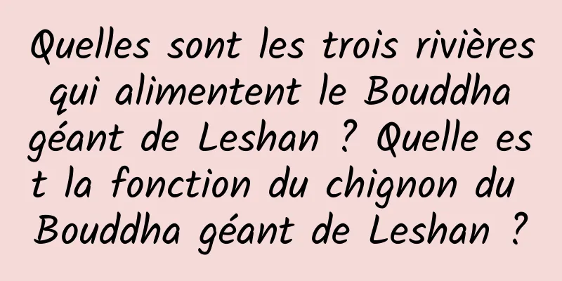 Quelles sont les trois rivières qui alimentent le Bouddha géant de Leshan ? Quelle est la fonction du chignon du Bouddha géant de Leshan ?