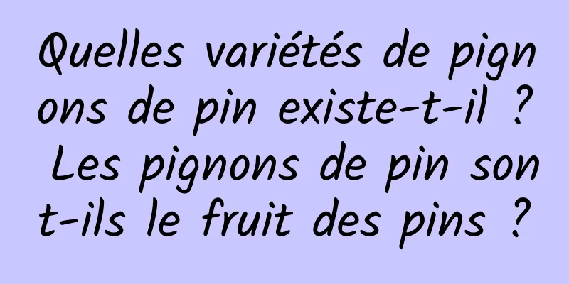 Quelles variétés de pignons de pin existe-t-il ? Les pignons de pin sont-ils le fruit des pins ?
