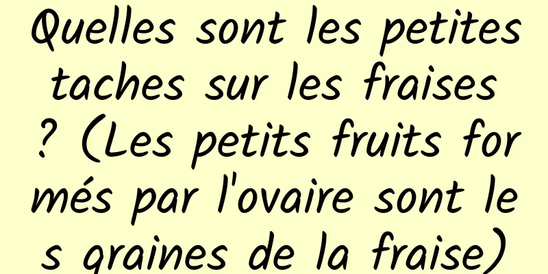 Quelles sont les petites taches sur les fraises ? (Les petits fruits formés par l'ovaire sont les graines de la fraise)