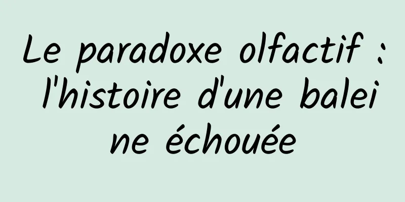 Le paradoxe olfactif : l'histoire d'une baleine échouée
