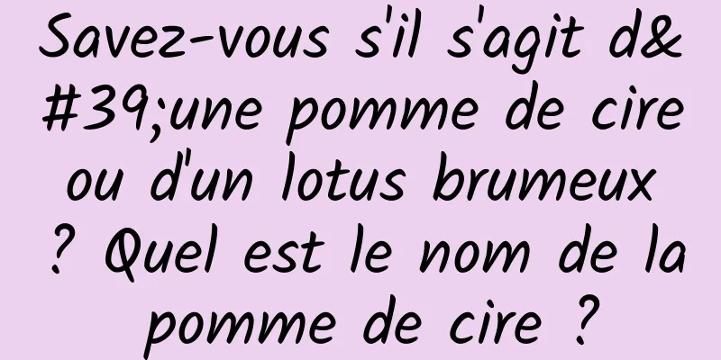 Savez-vous s'il s'agit d'une pomme de cire ou d'un lotus brumeux ? Quel est le nom de la pomme de cire ?