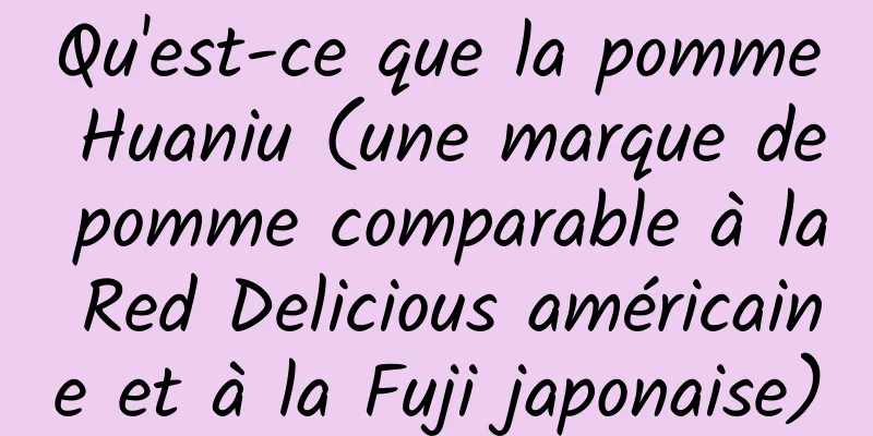 Qu'est-ce que la pomme Huaniu (une marque de pomme comparable à la Red Delicious américaine et à la Fuji japonaise)