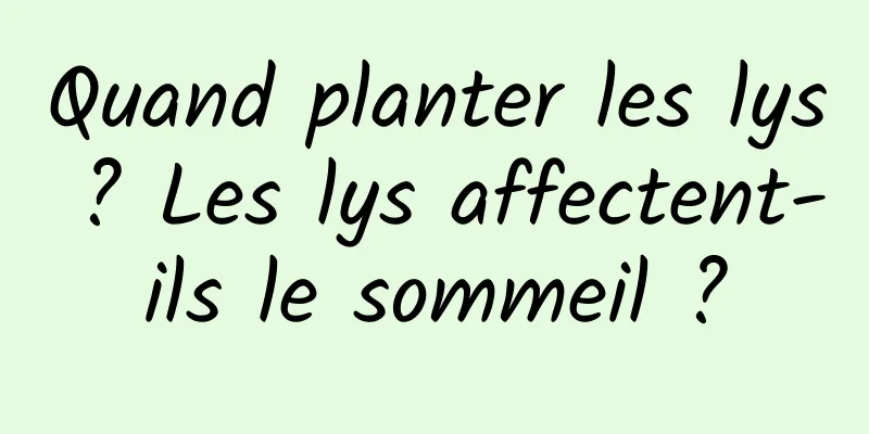 Quand planter les lys ? Les lys affectent-ils le sommeil ?