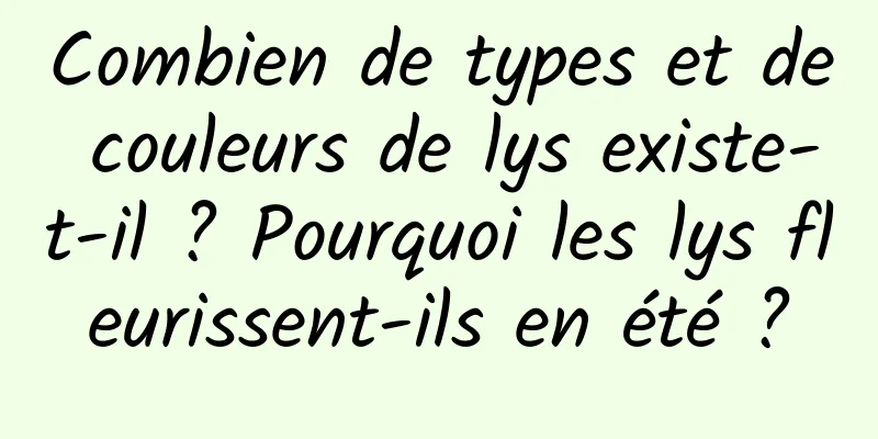 Combien de types et de couleurs de lys existe-t-il ? Pourquoi les lys fleurissent-ils en été ?