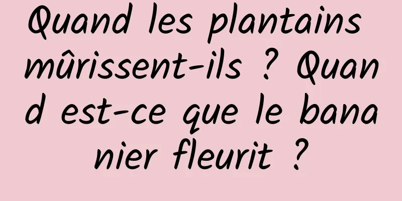 Quand les plantains mûrissent-ils ? Quand est-ce que le bananier fleurit ?