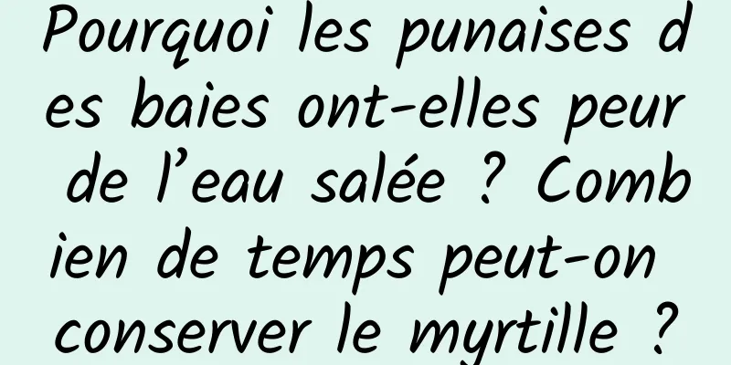 Pourquoi les punaises des baies ont-elles peur de l’eau salée ? Combien de temps peut-on conserver le myrtille ?