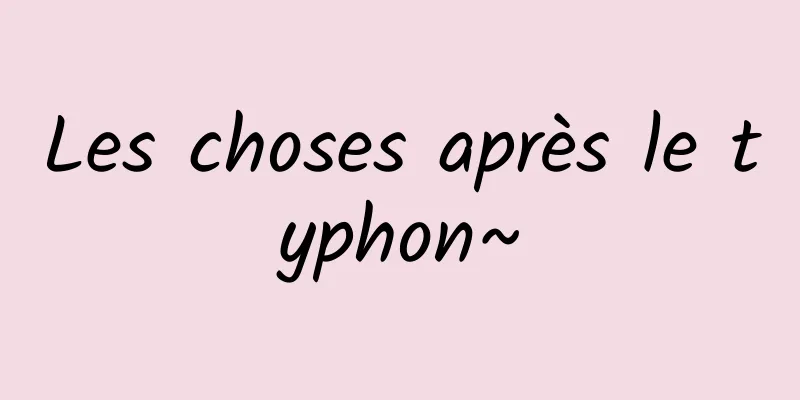 Les choses après le typhon~