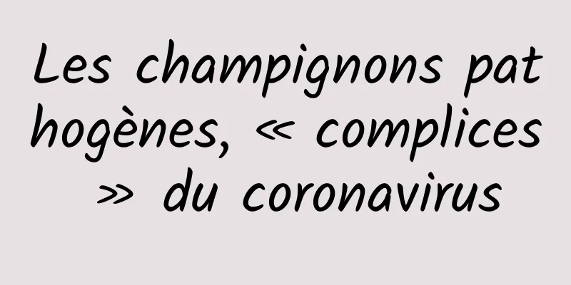Les champignons pathogènes, « complices » du coronavirus