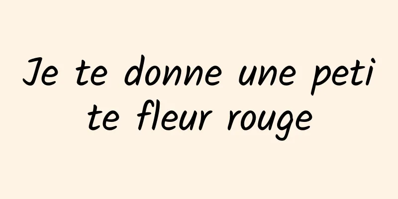 Je te donne une petite fleur rouge