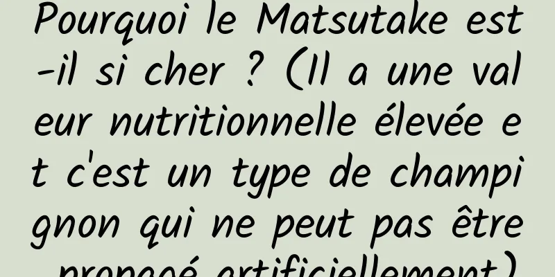 Pourquoi le Matsutake est-il si cher ? (Il a une valeur nutritionnelle élevée et c'est un type de champignon qui ne peut pas être propagé artificiellement)