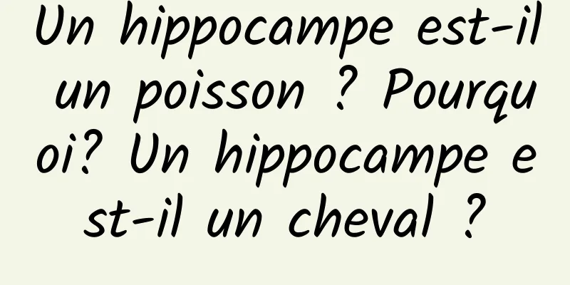 Un hippocampe est-il un poisson ? Pourquoi? Un hippocampe est-il un cheval ?