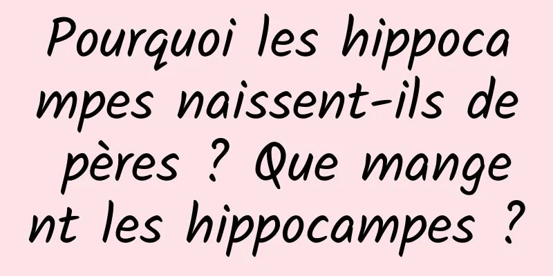 Pourquoi les hippocampes naissent-ils de pères ? Que mangent les hippocampes ?