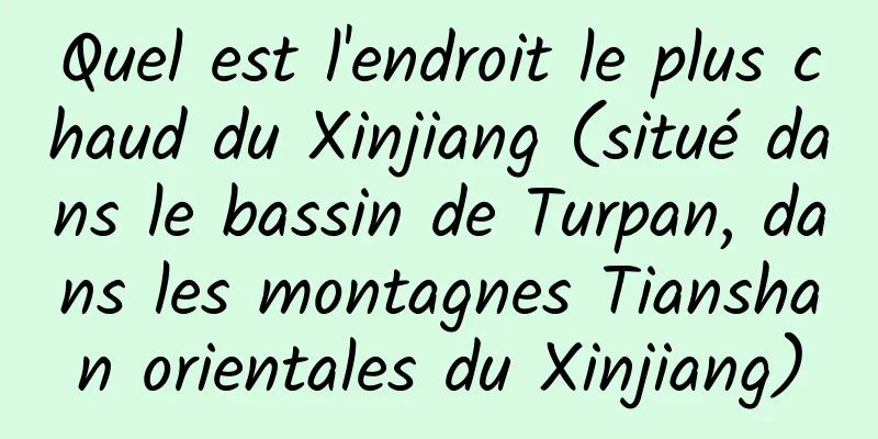 Quel est l'endroit le plus chaud du Xinjiang (situé dans le bassin de Turpan, dans les montagnes Tianshan orientales du Xinjiang)