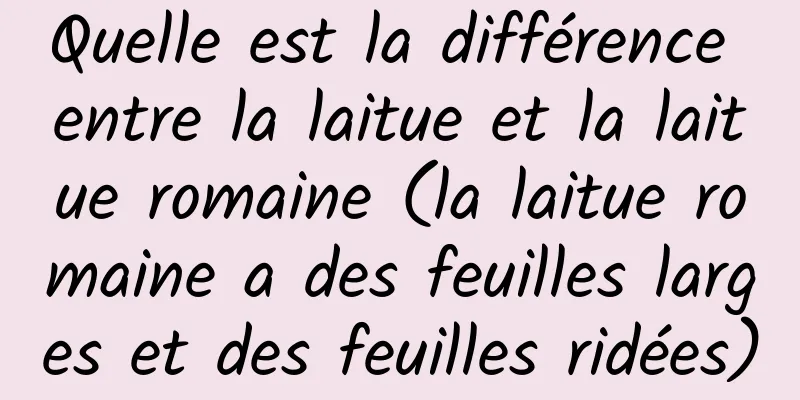 Quelle est la différence entre la laitue et la laitue romaine (la laitue romaine a des feuilles larges et des feuilles ridées)