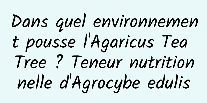 Dans quel environnement pousse l'Agaricus Tea Tree ? Teneur nutritionnelle d'Agrocybe edulis