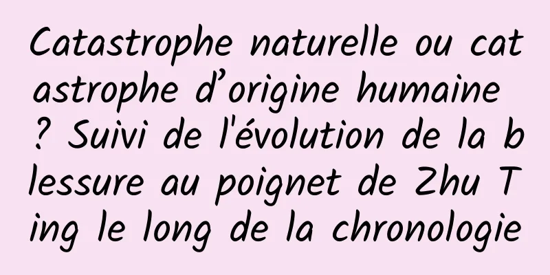 Catastrophe naturelle ou catastrophe d’origine humaine ? Suivi de l'évolution de la blessure au poignet de Zhu Ting le long de la chronologie