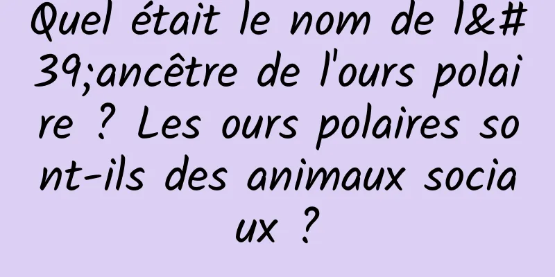 Quel était le nom de l'ancêtre de l'ours polaire ? Les ours polaires sont-ils des animaux sociaux ?
