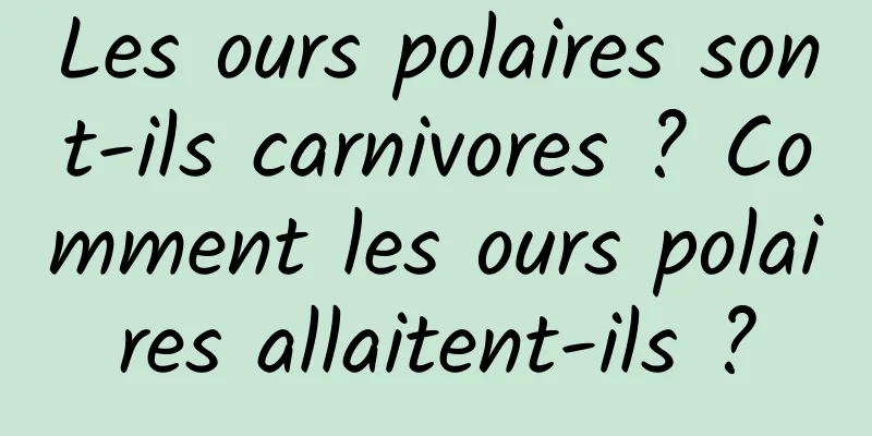 Les ours polaires sont-ils carnivores ? Comment les ours polaires allaitent-ils ?